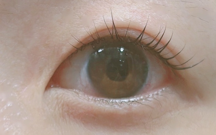 ラッシュアディクト アイラッシュコンディショニングセラム/soaddicted/まつげ美容液を使ったクチコミ（2枚目）