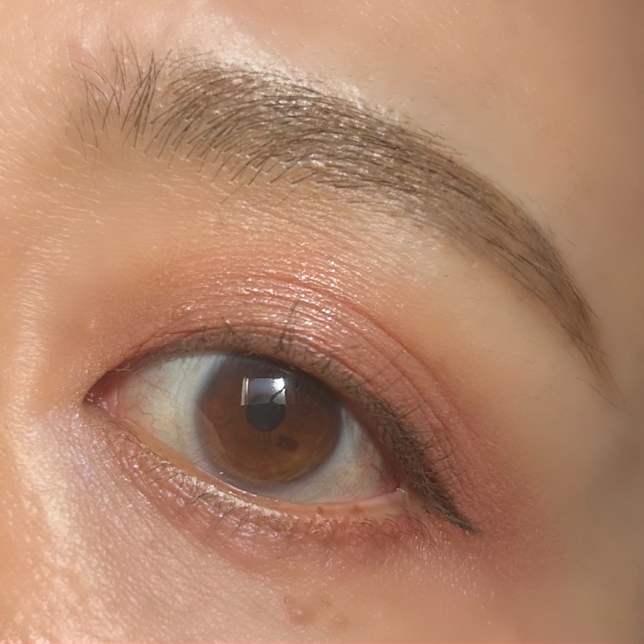 ディオールショウ サンク クルール/Dior/アイシャドウを使ったクチコミ（3枚目）