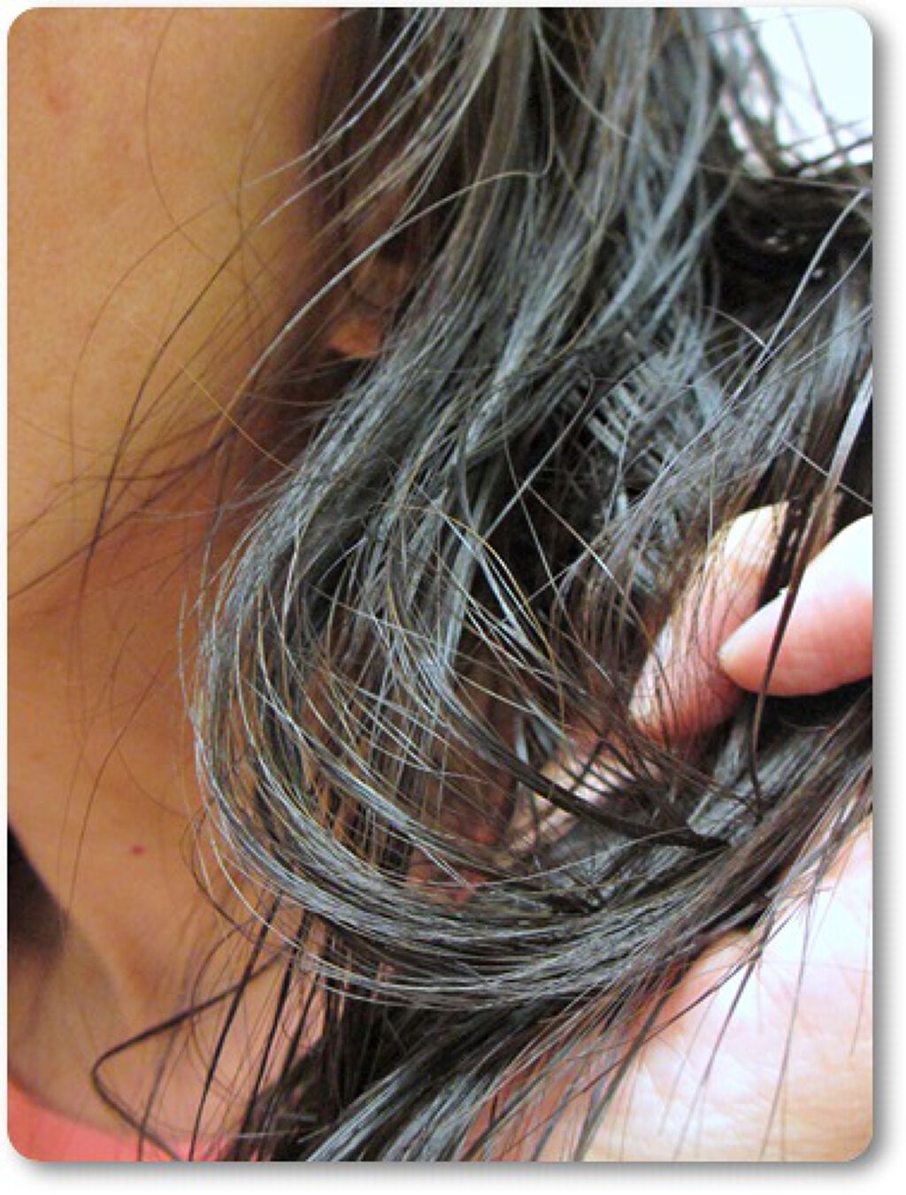 オーガニックヘアオイル フレッシュティーの香り/ハーバルリーフ/ヘアオイルを使ったクチコミ(4枚目)