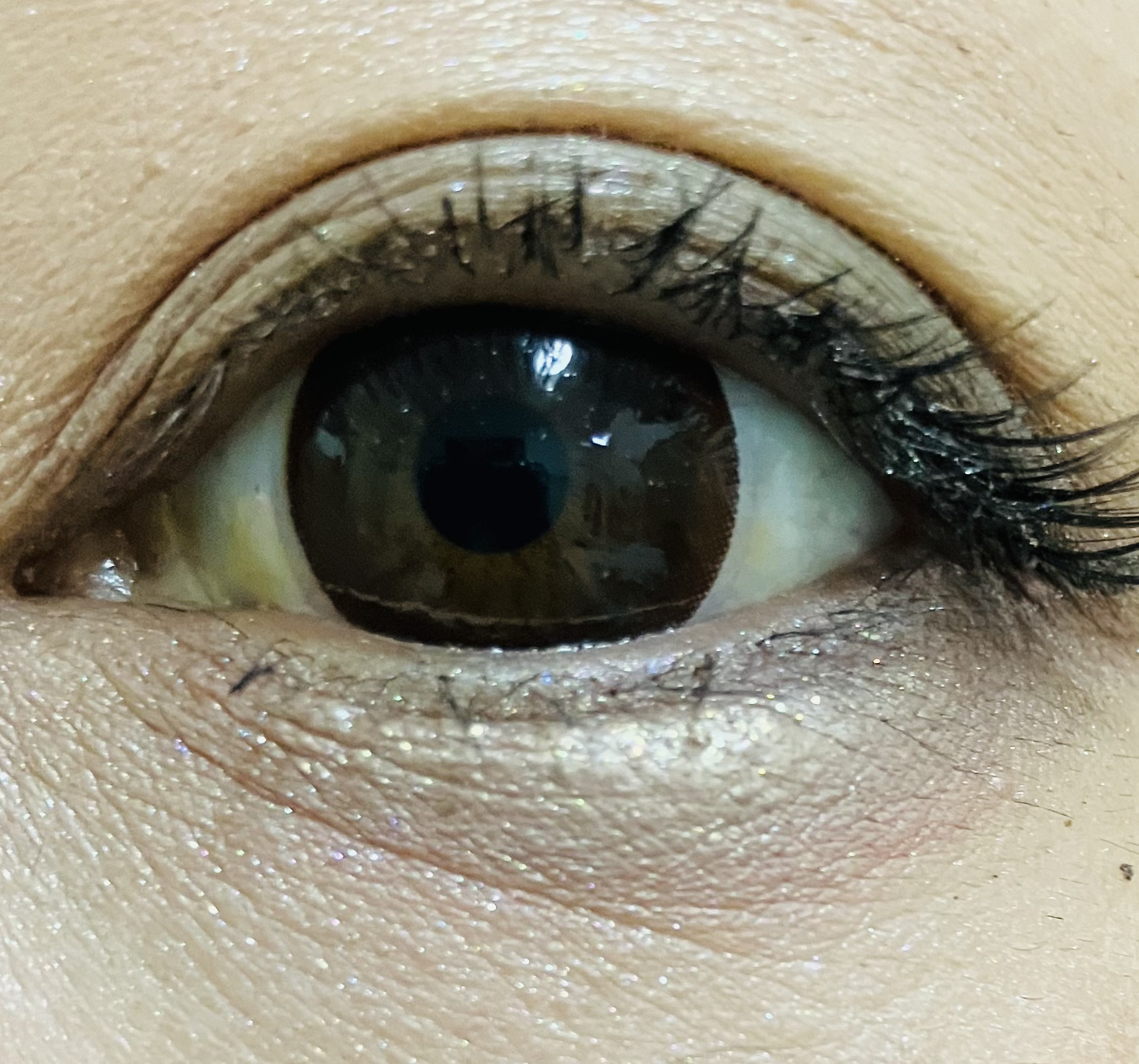 ミネラルクラッシィシャドー/エトヴォス/アイシャドウパレットを使ったクチコミ（2枚目）