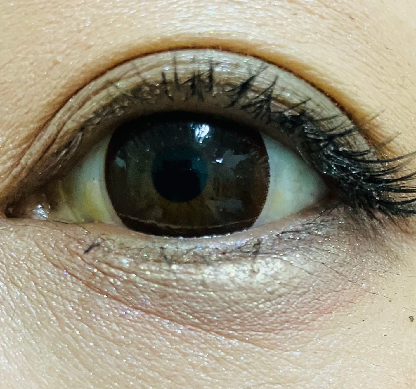 ミネラルクラッシィシャドー/エトヴォス/アイシャドウパレットを使ったクチコミ(2枚目)