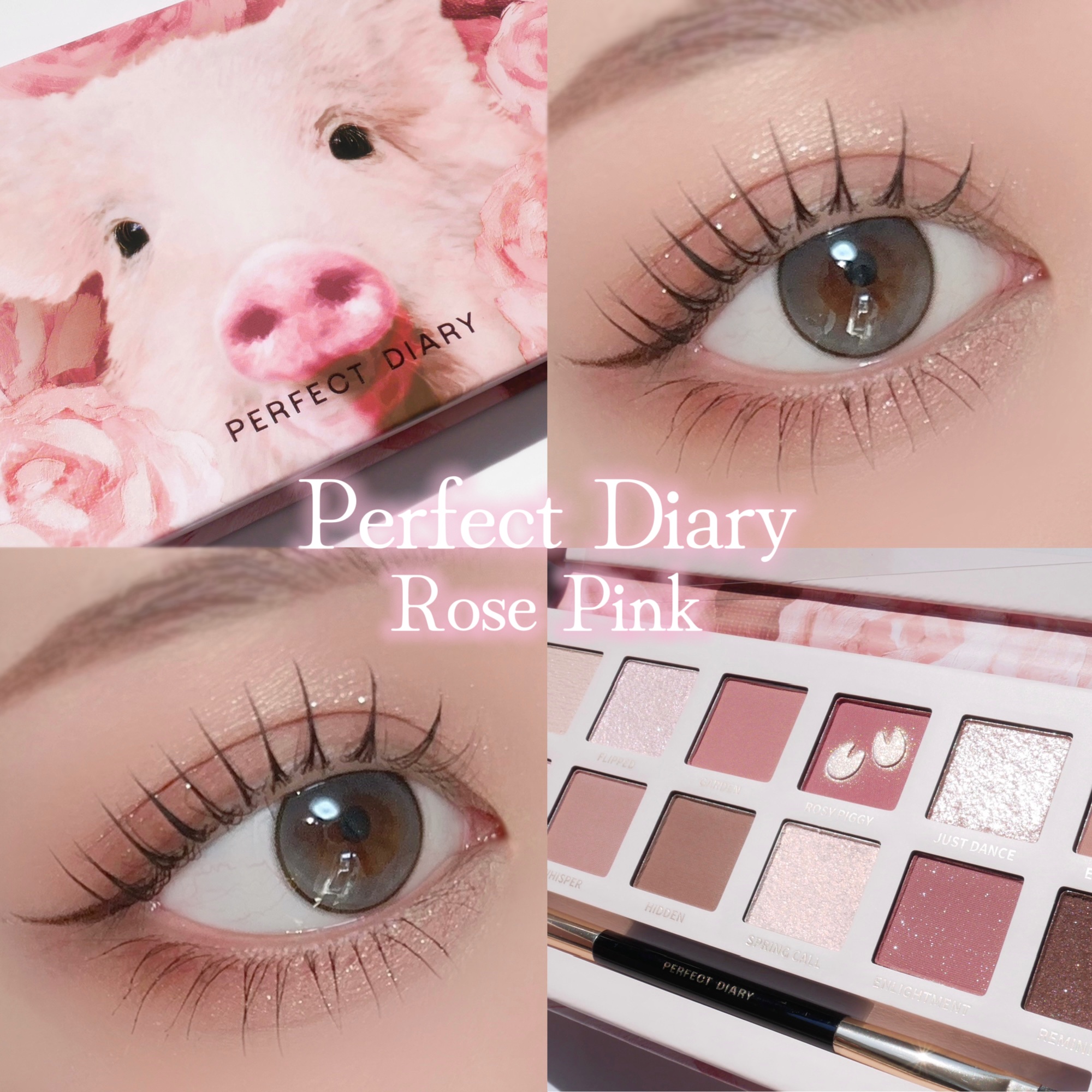 エクスプローラ12色 動物アイシャドウパレット｜PERFECT DIARYの口コミ