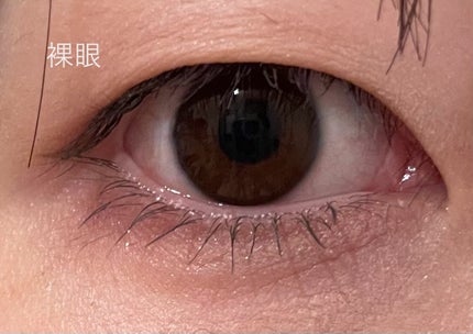 1-DAY Refrear dolemi/Refrear/ワンデー(1DAY)カラコンを使ったクチコミ(2枚目)