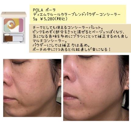 コントロールパウダー/IPSA/プレストパウダーを使ったクチコミ(2枚目)