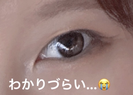 絵画アイシャドウパレット 07 ラ・ジャポネーズ/MilleFée/アイシャドウパレットを使ったクチコミ（3枚目）