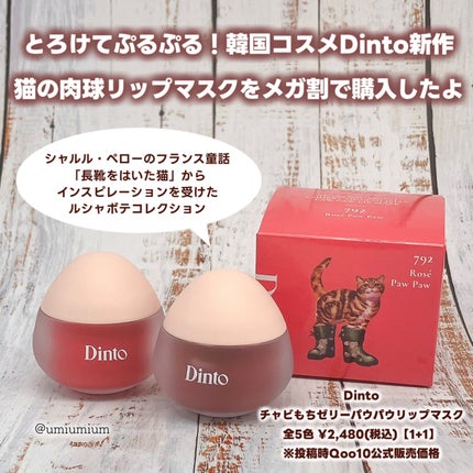 ãã£ããã¡ãŒãªãŒããŠããŠãªãããã¹ã¯/Dinto/ãªãããã¹ã¯ã䜿ã£ãã¯ãã³ãïŒ2æç®ïŒ