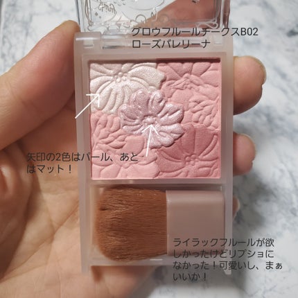 スキニーリッチシャドウ/excel/アイシャドウパレットを使ったクチコミ(5枚目)