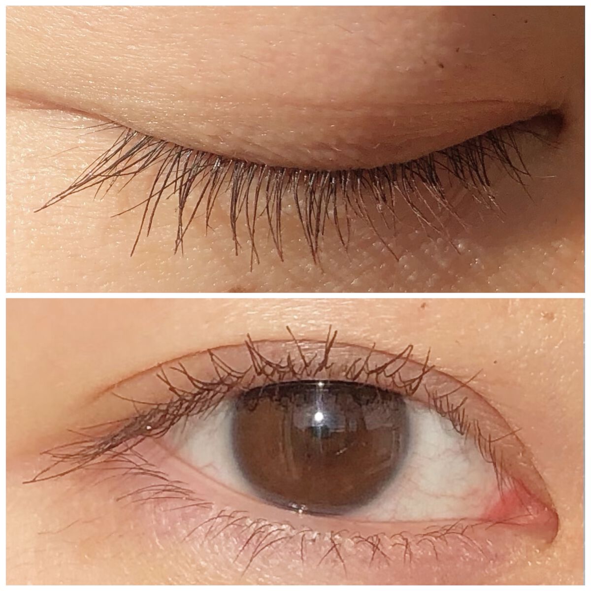 パーフェクトエクステンション マスカラ for カール/D-UP/マスカラを使ったクチコミ（3枚目）