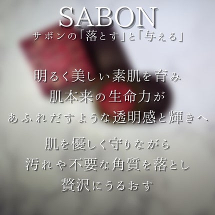 リップポリッシャー/SABON/リップスクラブを使ったクチコミ(3枚目)