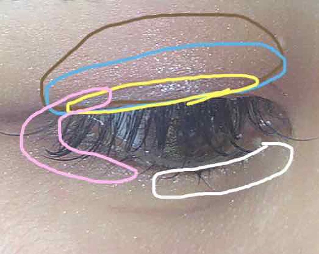 【旧品】パーフェクトスタイリストアイズ/キャンメイク/アイシャドウパレットを使ったクチコミ（3枚目）