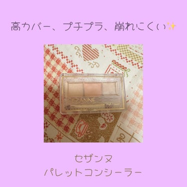 パレットコンシーラー/CEZANNE/コンシーラーを使ったクチコミ（1枚目）