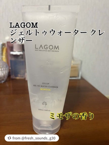 ジェルトゥウォーター クレンザー (MI)/LAGOM /その他洗顔料を使ったクチコミ(1枚目)