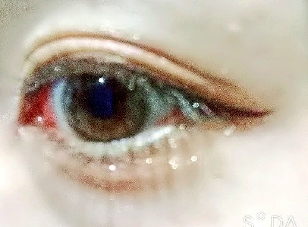 リキッド ルージュ/ちふれ/口紅を使ったクチコミ（3枚目）