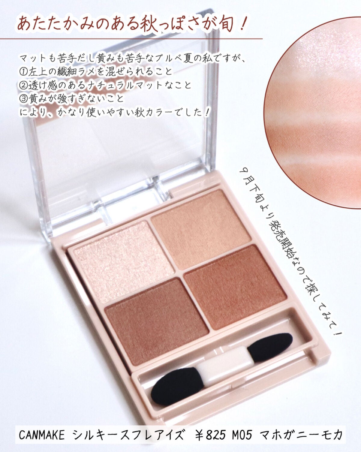 シルキースフレアイズ(マットタイプ)/キャンメイク/アイシャドウパレットを使ったクチコミ(5枚目)