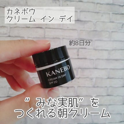クリーム イン デイ/KANEBO/フェイスクリームを使ったクチコミ(6枚目)