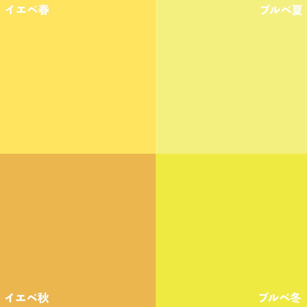 パーソナルカラー診断/Visée/その他を使ったクチコミ(6枚目)