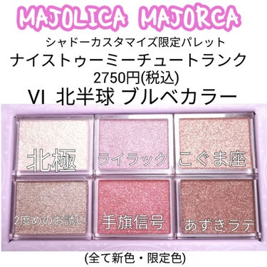 ナイストゥミーチュートランク/MAJOLICA MAJORCA/パウダーアイシャドウを使ったクチコミ（2枚目）