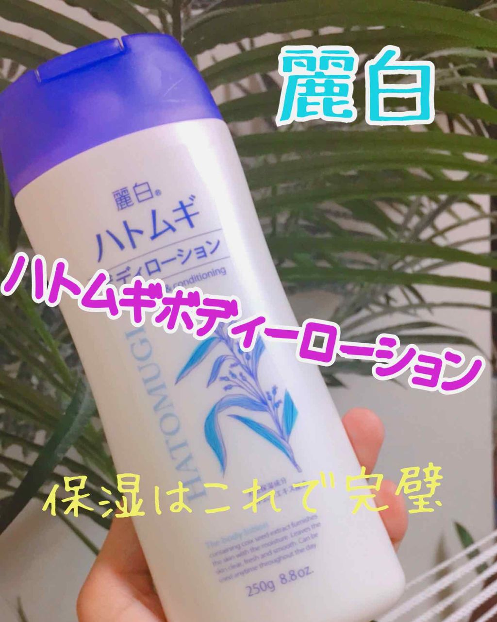 ハトムギ ボディローション/麗白/ボディローションを使ったクチコミ（1枚目）