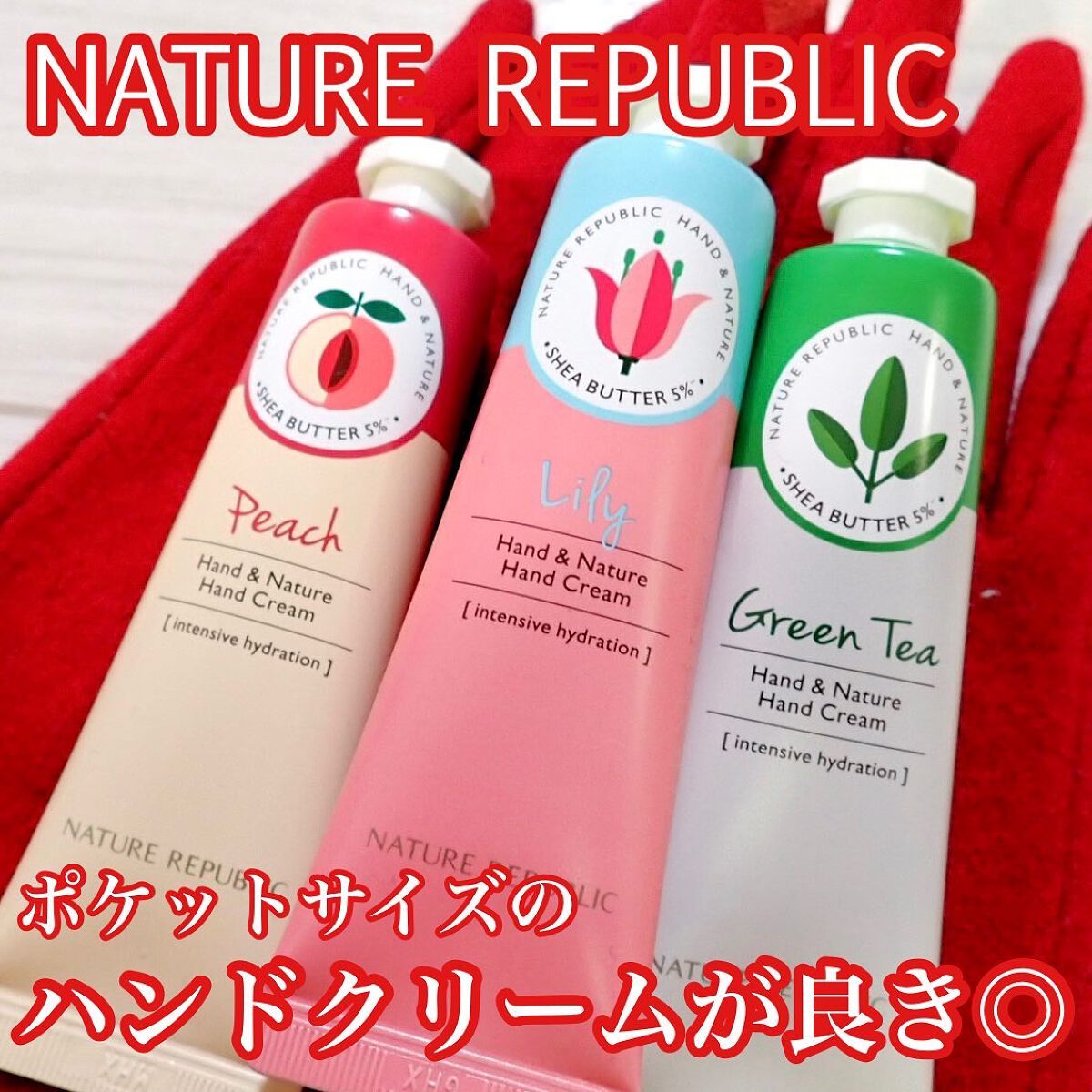 ハンドアンドネイチャーハンドクリーム ACACIA/ネイチャーリパブリック/ハンドクリームを使ったクチコミ（1枚目）