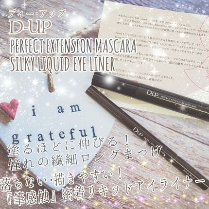 【旧品】パーフェクトエクステンション マスカラ/D-UP/マスカラを使ったクチコミ(1枚目)