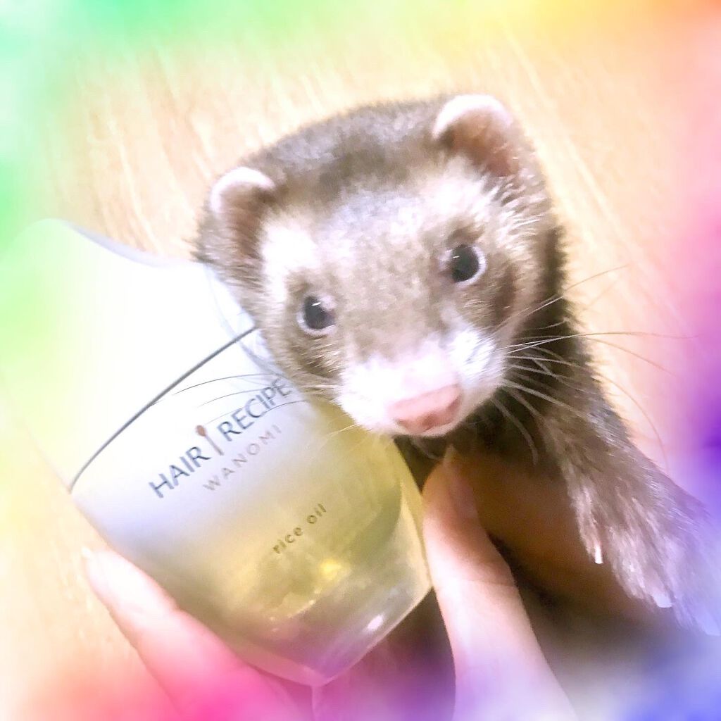 さらとろライスオイル(洗い流さないトリートメント)/WANOMI/ヘアオイルを使ったクチコミ（1枚目）