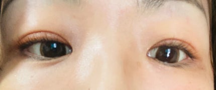 ネオサイトワンデー リングUV ライトブラウン/Aire/ワンデー(1DAY)カラコンの画像