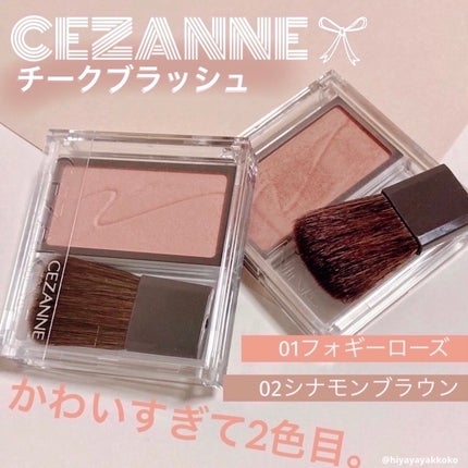 チークブラッシュ/CEZANNE/パウダーチークを使ったクチコミ(1枚目)