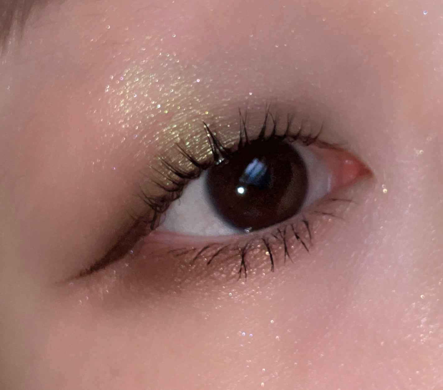 ラズル アイカラー/エレガンス ラズル /単色アイシャドウを使ったクチコミ(3枚目)