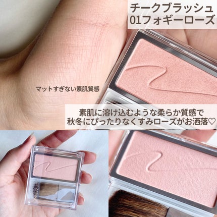 パールグロウハイライト/CEZANNE/パウダーハイライトを使ったクチコミ(6枚目)