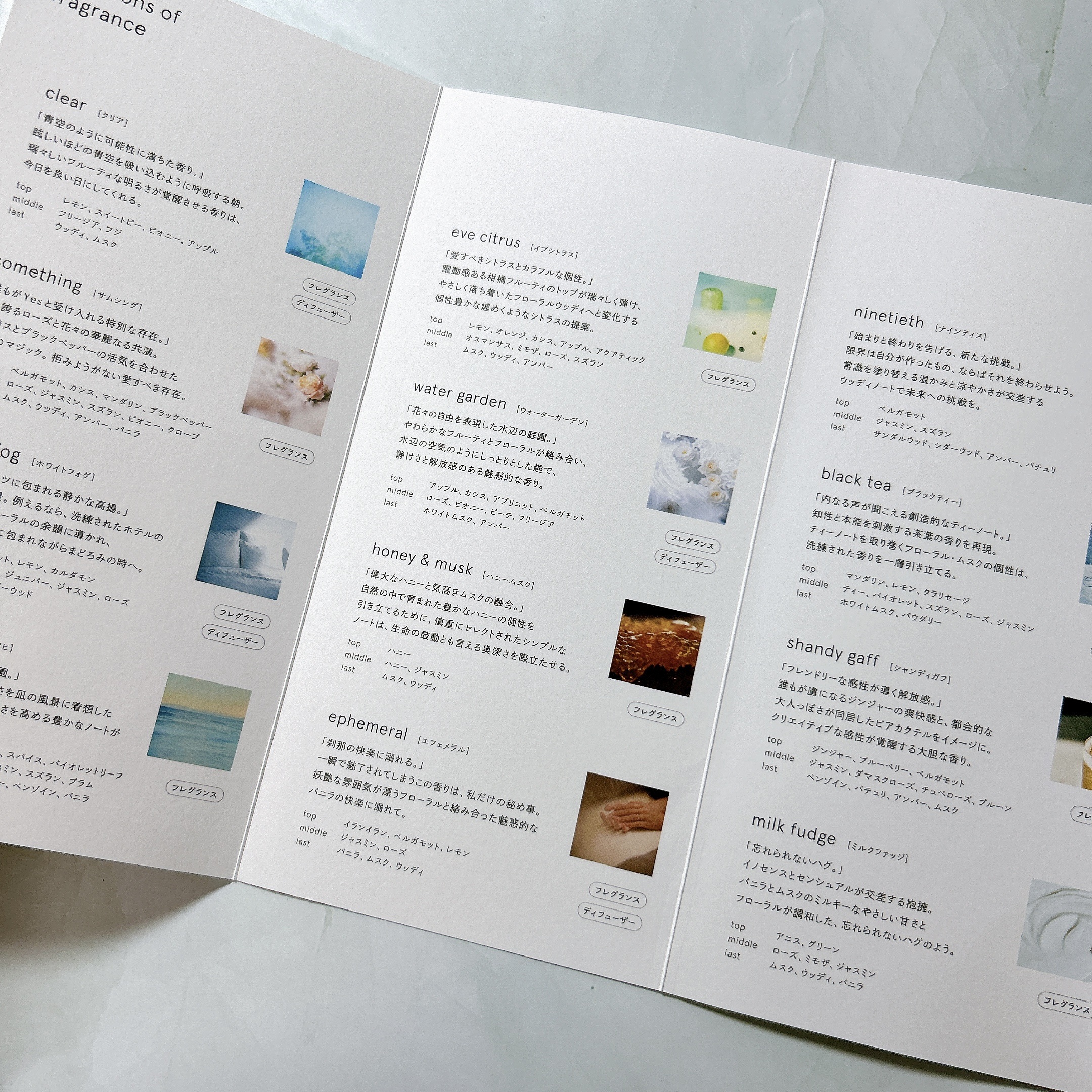 マインドセンス シャンディガフ/ROAlív/香水(レディース)を使ったクチコミ（2枚目）