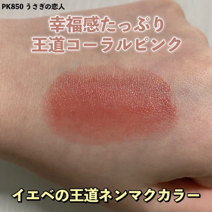 ネンマクフェイク ルージュ/Visée/口紅を使ったクチコミ(3枚目)