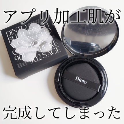 ブラーフィニッシュ雲楚クッション/Dinto/クッションファンデーションを使ったクチコミ(1枚目)