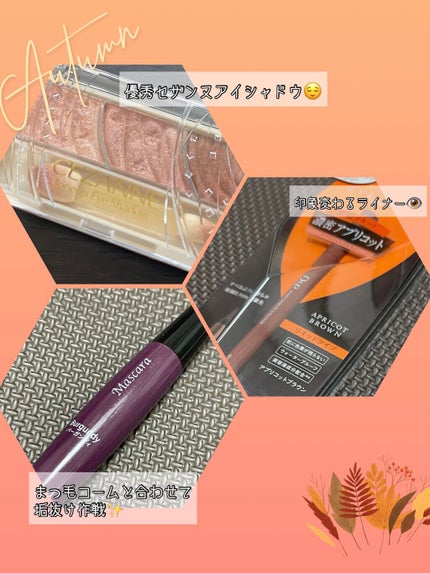 トーンアップアイシャドウ/CEZANNE/アイシャドウパレットを使ったクチコミ(1枚目)