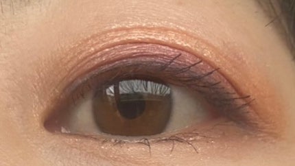 ジューシーピュアアイズ/キャンメイク/アイシャドウパレットを使ったクチコミ(3枚目)