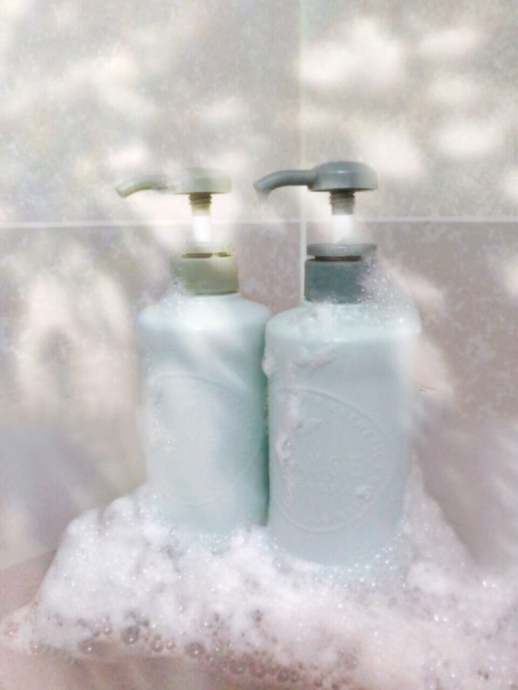 シャンプー/トリートメントR /CLAYGE/シャンプー・コンディショナーを使ったクチコミ(1枚目)