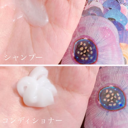 パフューム エレガンスアンバー シャンプー&コンディショナー/KERASYS/シャンプー・コンディショナーを使ったクチコミ(4枚目)