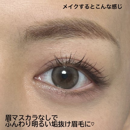 ブロークリームブリーチ/Loingz/その他アイブロウを使ったクチコミ(6枚目)