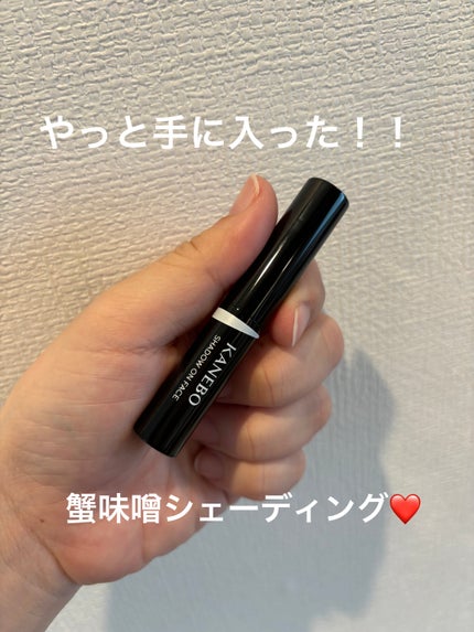 シャドウオンフェース/KANEBO/シェーディングを使ったクチコミ(1枚目)