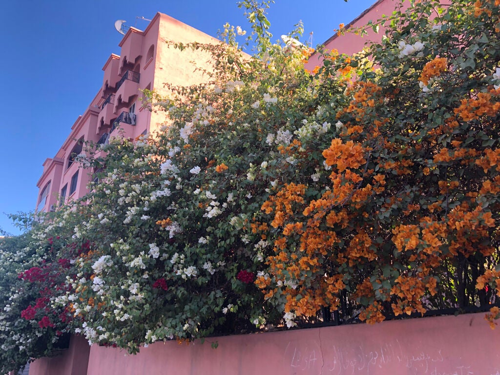 アイカラーレーション/LUNASOL/アイシャドウパレットを使ったクチコミ(10枚目)