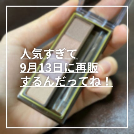 スタイリング パウダーアイブロウ/excel/パウダーアイブロウを使ったクチコミ(1枚目)