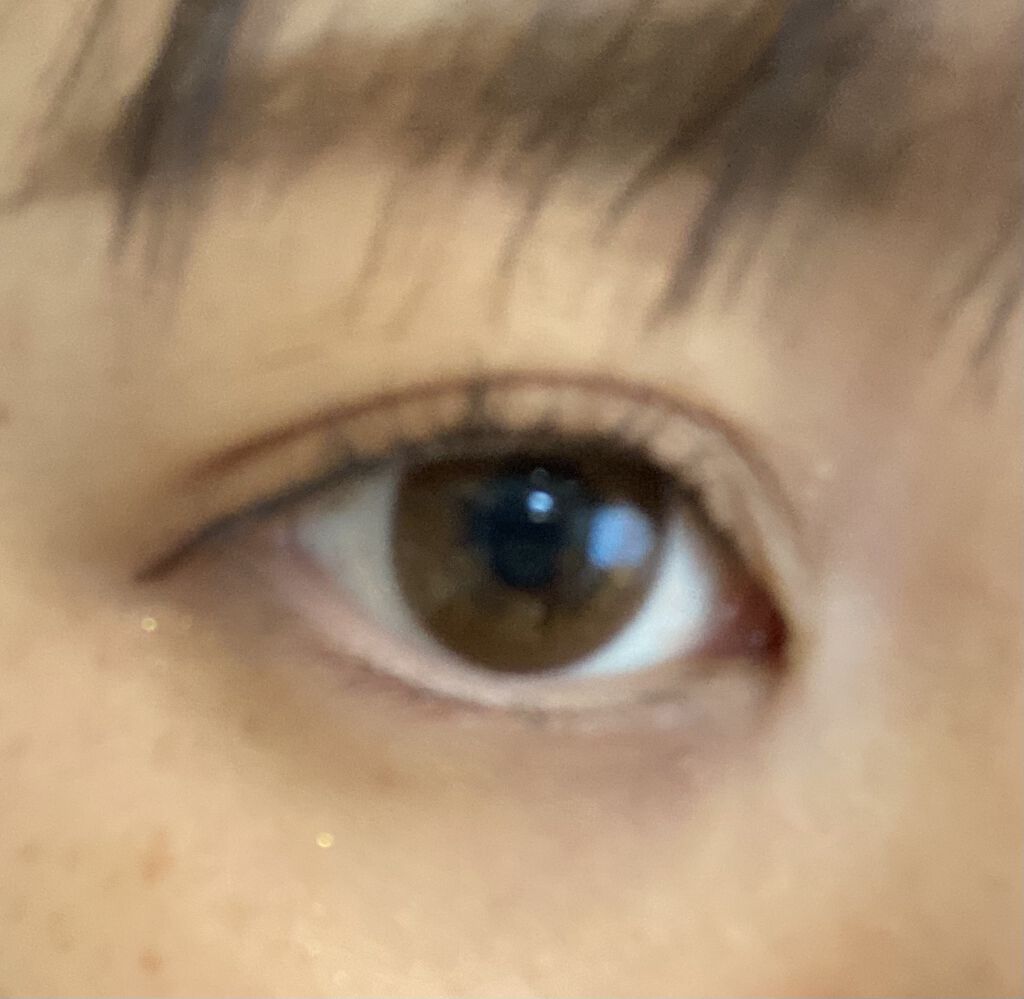 FLANMY 1day ドーナツブラウン/FLANMY/ワンデー（１DAY）カラコンを使ったクチコミ（3枚目）