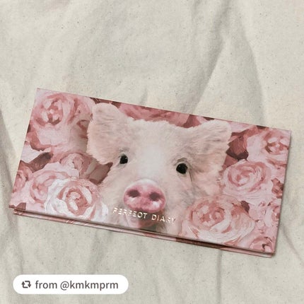 エクスプローラ12色 動物アイシャドウパレット/PERFECT DIARY/アイシャドウパレットを使ったクチコミ(1枚目)