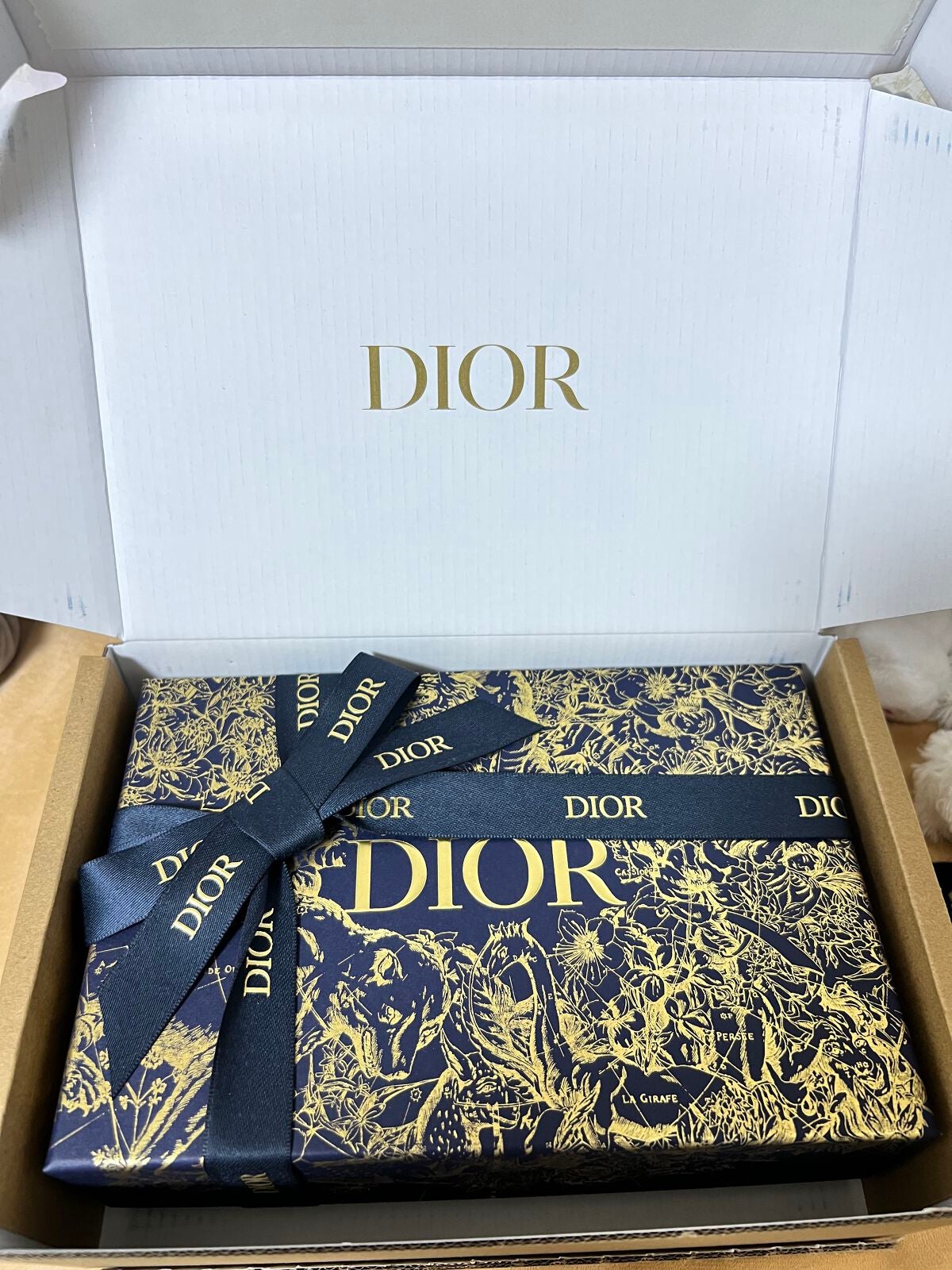 【旧】ディオール アディクト リップ マキシマイザー/Dior/リップグロスを使ったクチコミ(1枚目)