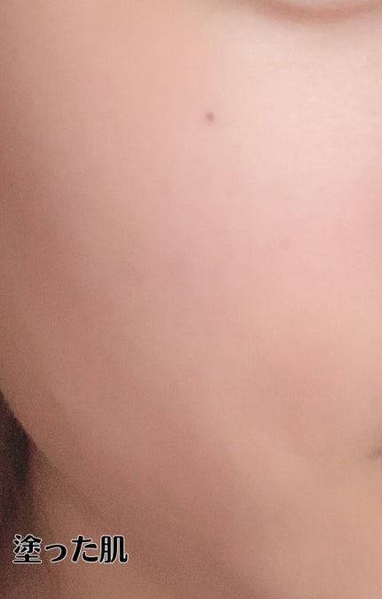 【旧】ディオールスキン フォーエヴァー スキン ヴェール/Dior/化粧下地を使ったクチコミ(5枚目)