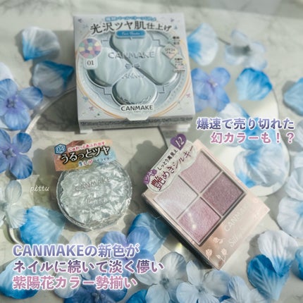 シルキースフレアイズ/キャンメイク/アイシャドウパレットを使ったクチコミ(2枚目)