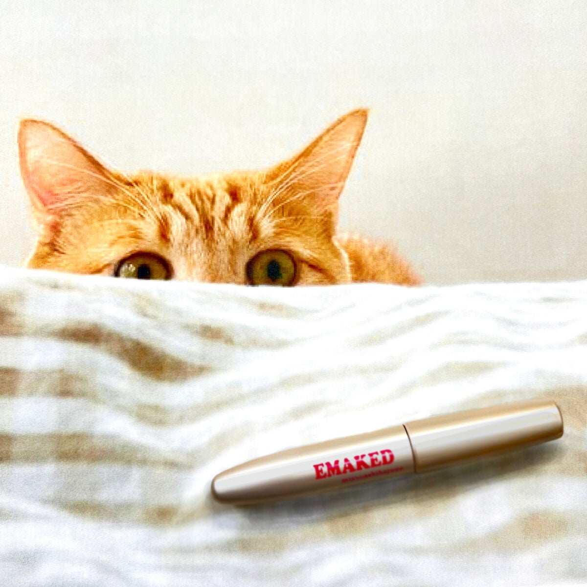 EMAKED(エマーキット)/水橋保寿堂製薬/まつげ美容液を使ったクチコミ(1枚目)