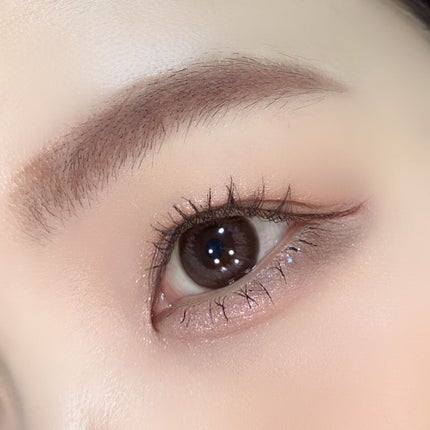 シャドウパレット/dasique/アイシャドウパレットを使ったクチコミ(10枚目)