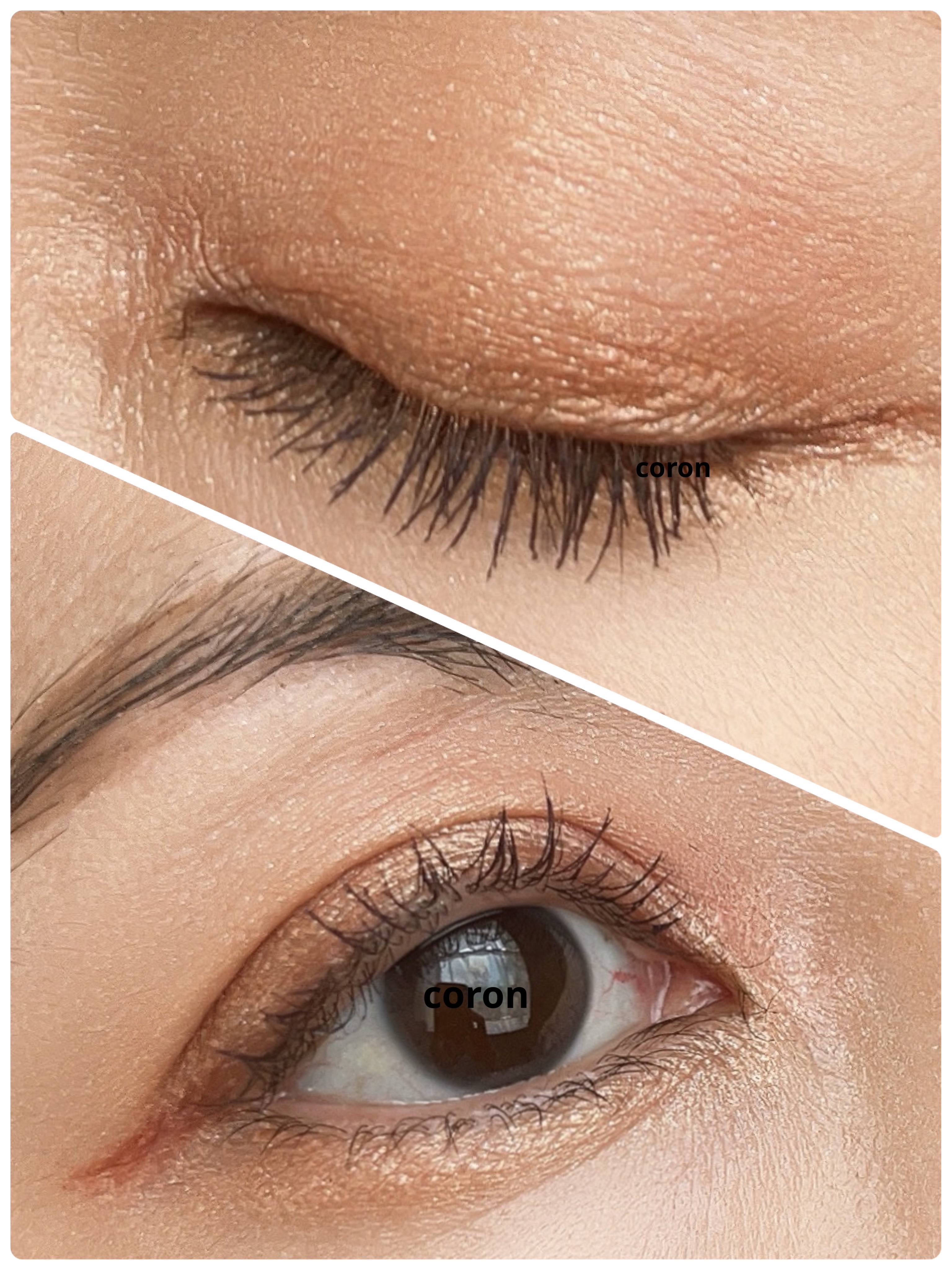 ロングウェア クリーム シャドウ スティック L32 ピーチミモザ(限定復刻色)/BOBBI BROWN/スティックアイシャドウを使ったクチコミ（2枚目）