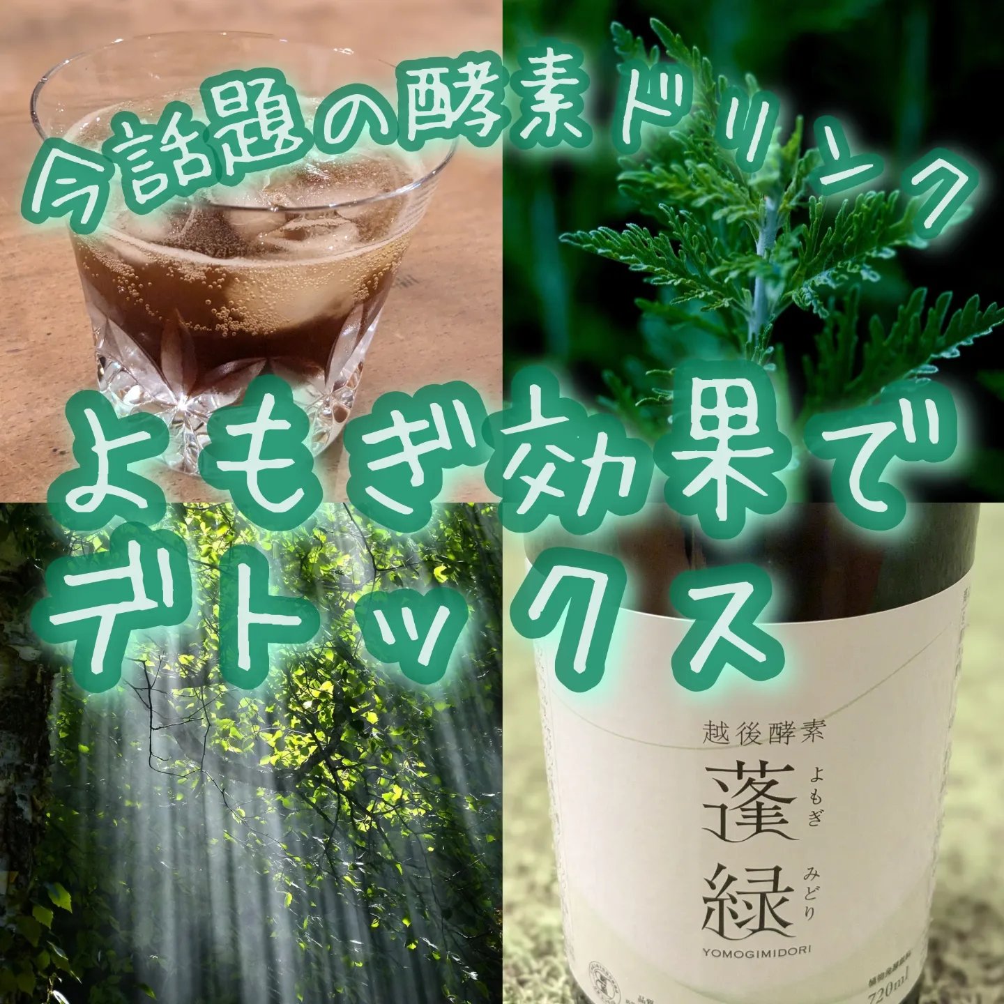 蓬緑　酵素ドリンク 楽天市場】越後酵素 蓬緑 よもぎみどり 720mlデトックス 酵素