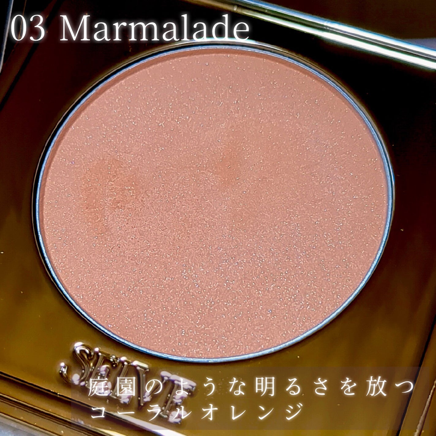 フォギーヴェールブラッシャー/SELVE/パウダーチークを使ったクチコミ(5枚目)